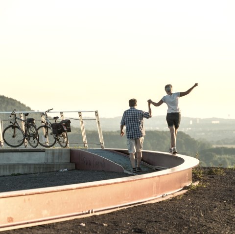 Viewpoint CarlAlexanderPark, © StädteRegion Aachen