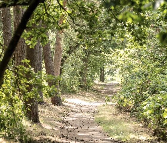 Schinveldse Bossen, © Grünmetropole e.V.