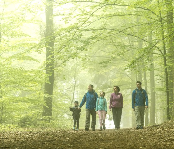 Aachener Wald, © Grünmetropole e.V.