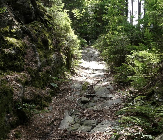 Romantischer Pfad durch den urwüchsigen Hangwald, © Bernd Läufer