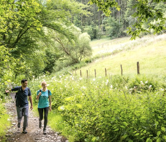 ET-2022-040-Simmerath-Ölmühle Tiefenbachtal-©Eifel Tourismus GmbH, Dominik Ketz, © Eifel Tourismus GmbH, Dominik Ketz