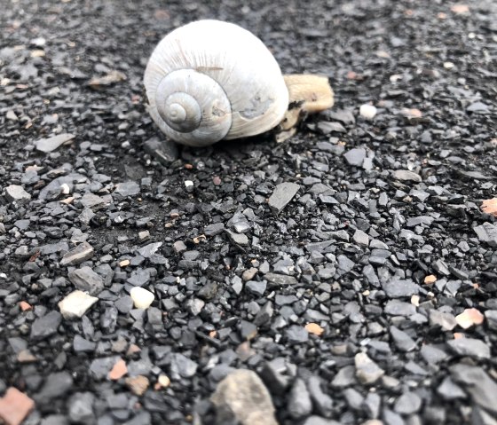 slow walker, © StädteRegion Aachen