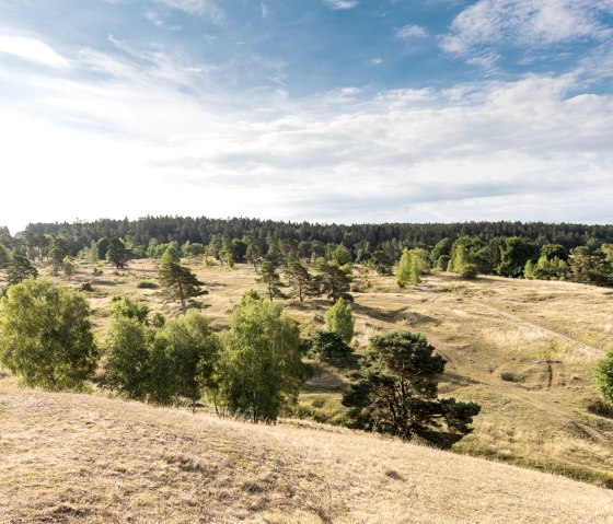 NSG Schlangenberg, © Eifel Tourismus GmbH