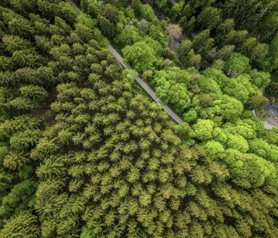 Kalltalsperre, © StädteRegion Aachen