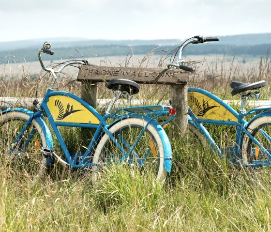 Bikes in the High Fens, © vennbahn.eu