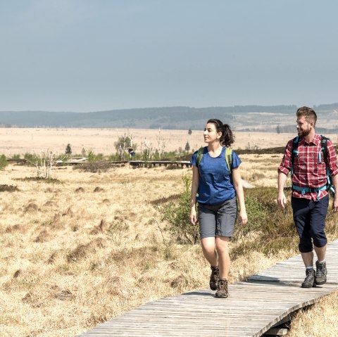 Wandern im Hohen Venn, © Dominik Ketz