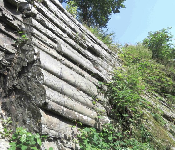 Unique Mullion structure, © Gemeinde Simmerath