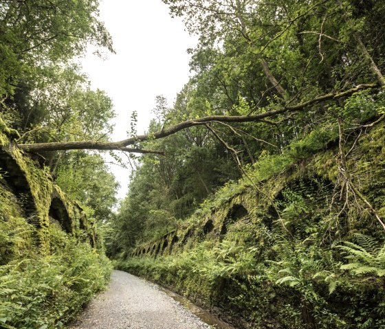 Vennbahnradweg bei Lengeler, © vennbahn.eu