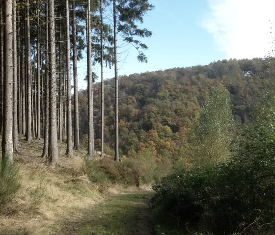 Wanderweg bei Xhoffraix, © StädteRegion Aachen