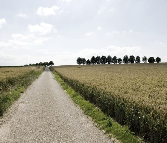 Grenzwege zwischen Orsbach (D) und Bochholtz (NL), © Andrea Borowski