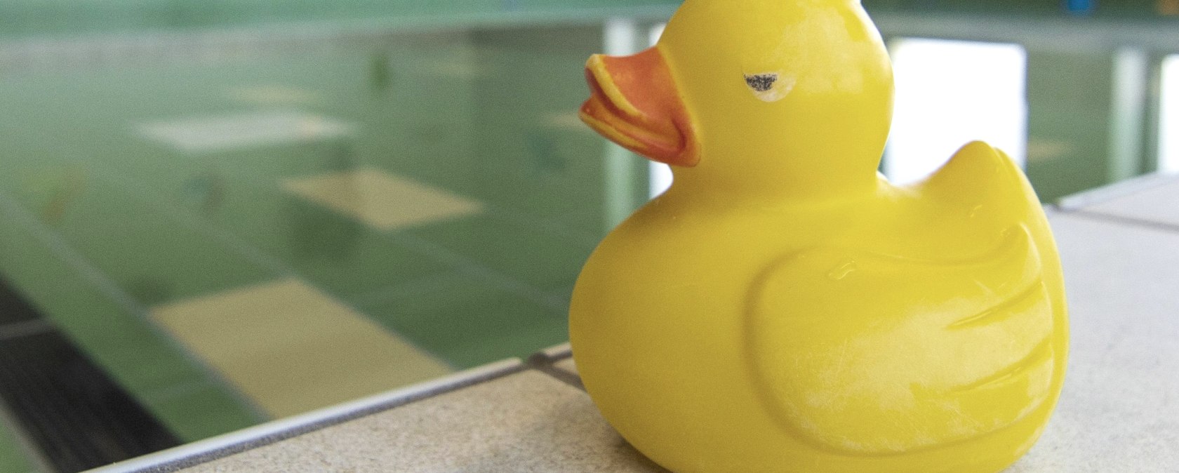Symbol image duck, © Monschauer Land Touristik e.V.