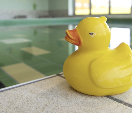 Symbol image duck, © Monschauer Land Touristik e.V.