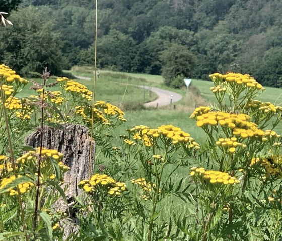 Idyllic Wurmtal valley, © StädteRegion Aachen