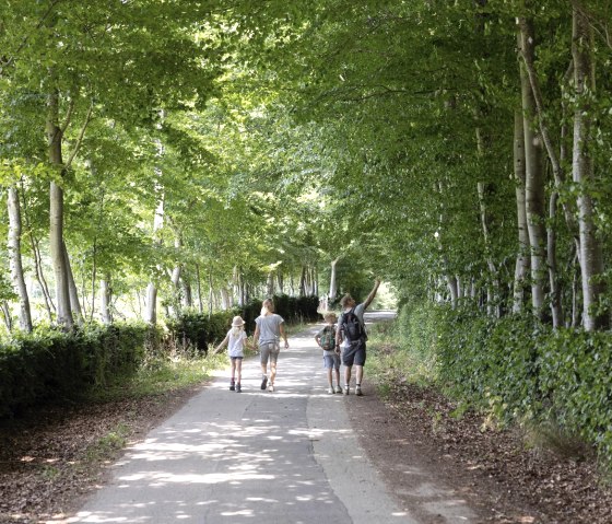 Flurheckenweg, © Eifel Tourismus GmbH