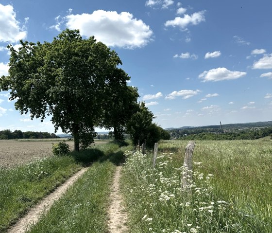 schöne Aussicht auf der Kupferroute, © StädteRegion Aachen
