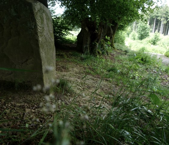 Landgraben Adlerstein, © StädteRegion Aachen