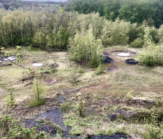 Blick auf die Gouleyhalde, © StädteRegion Aachen