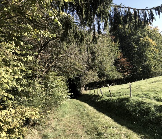 Wanderweg Nr. 13 - Panoramaweg, © Rursee-Touristik GmbH, Conni Schink