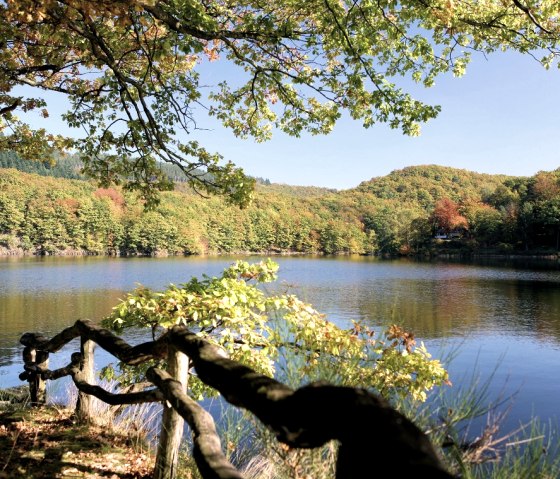 Rursee im Nationalpark Eifel, © M. Usadel