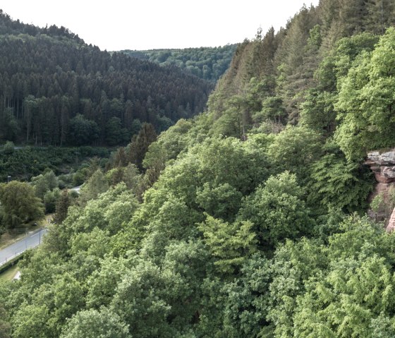 Kauley-Felsen bei Kordel, Eifelsteig-Etappe 14, © Eifel Tourismus GmbH, D. Ketz