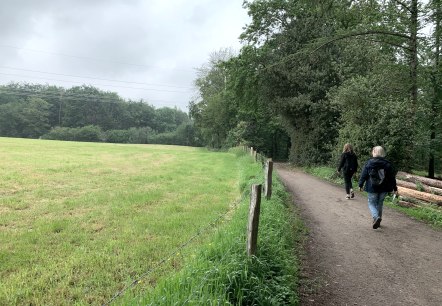 Wandern am Rande des Paulinenwäldchens, © StädteRegion Aachen