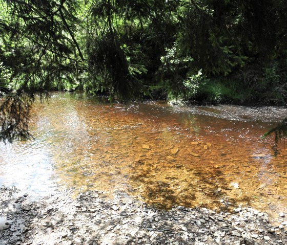 The untouched land - along the Weserbach stream into the High Fens, © Community