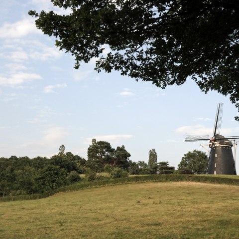 Molen Op de Vrouweheide Ubachsberg, © Visit Zuid Limburg