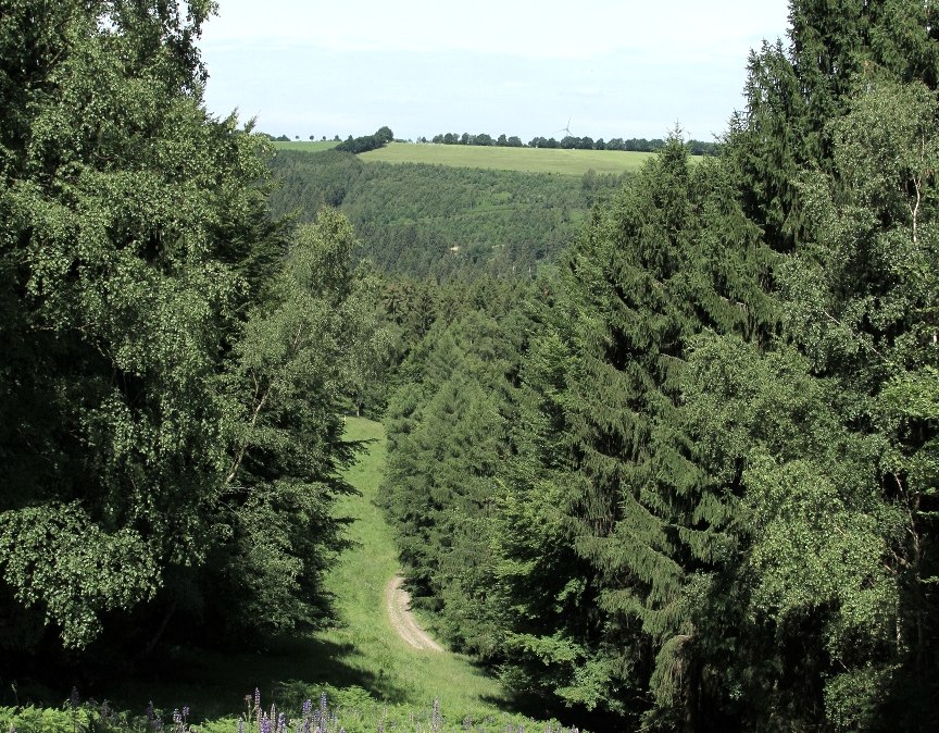 Bunkerweg, © Rursee-Touristik