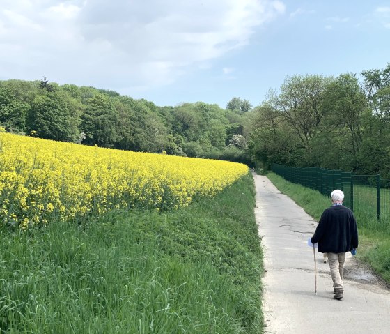 Haarberg mit Rapsfeld, © StädteRegion Aachen