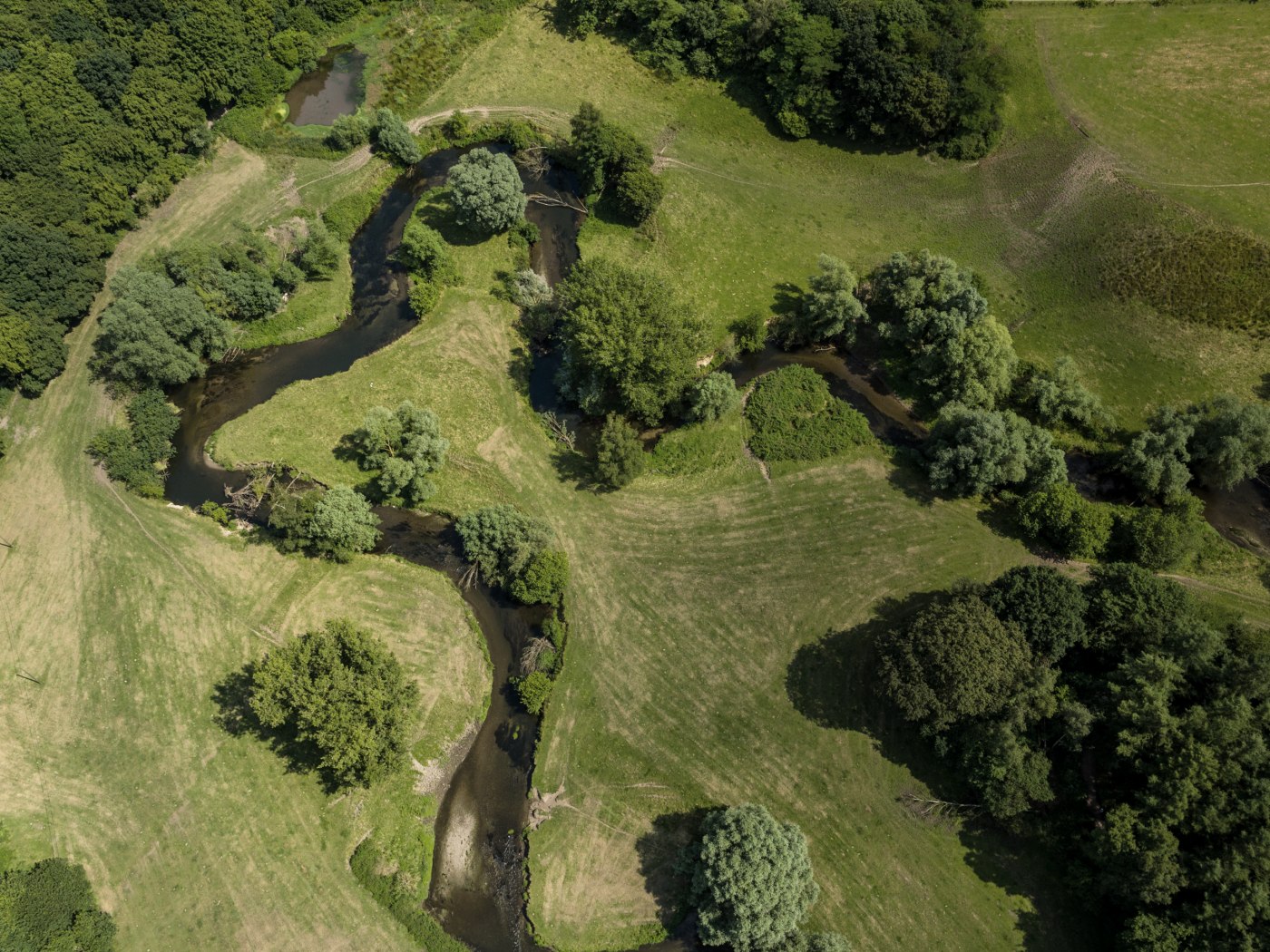 Wurmtal Paulinenwäldchen, © StädteRegion Aachen; Foto: Dominik Ketz