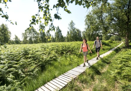 NSG Struffelt, © Eifel Tourismus GmbH