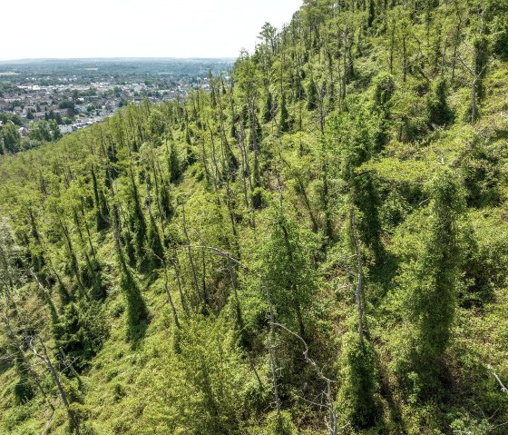 Adolf mine dump, © StädteRegion Aachen