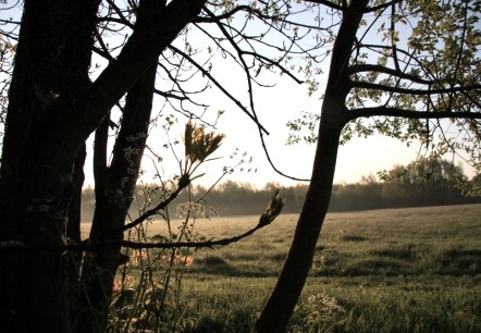 Soers bei Aachen, © StädteRegion Aachen