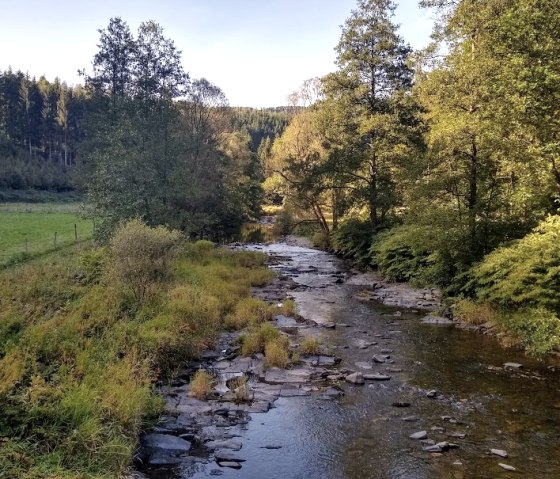 herrlicher Blick auf die Rur vom Bartholomäus-Steg aus, © StädteRegion Aachen