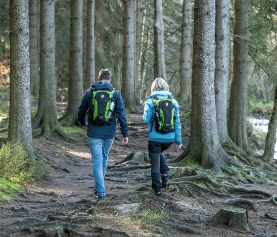 Wesertal bei Roetgen, © StädteRegion Aachen