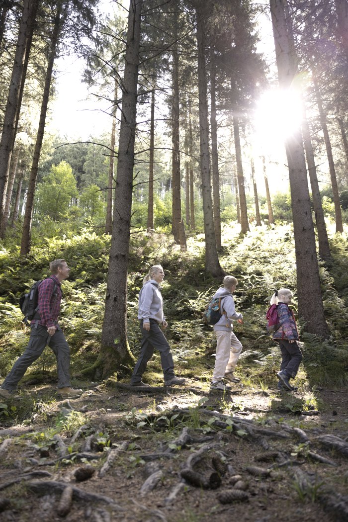 Familie Wandern, © Eifel Tourismus GmbH; Foto: Tobias Vollmer