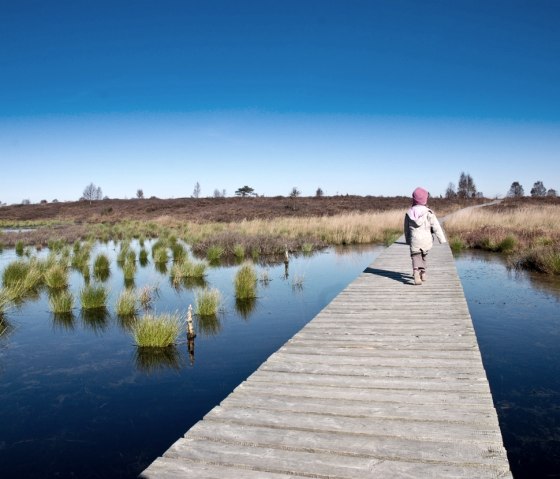 Hohes Venn, © Tourismusagentur Ostbelgien