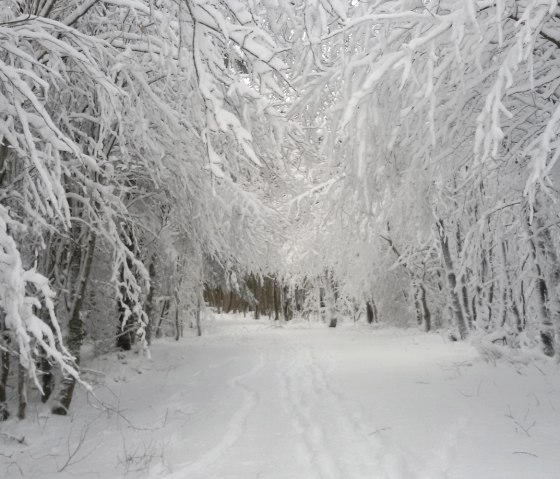 Winterlandschaft Eicherscheidt, © StädteRegion Aachen