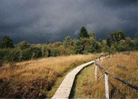 The High Fens, © Monschau-Touristik