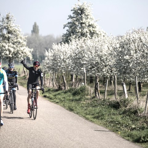 Amstel Gold Race-route, © Visit Zuid Limburg