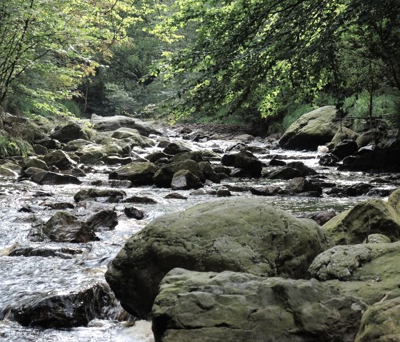 Durch die "Steppenlandschaft" der Eifel, © Community