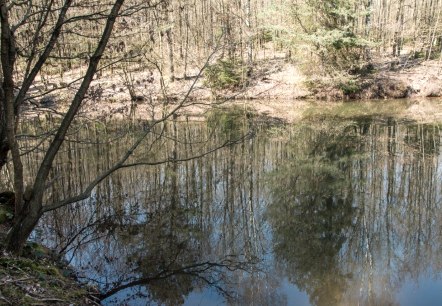 Teich beim Omerbach, © Eifelverein e. V.