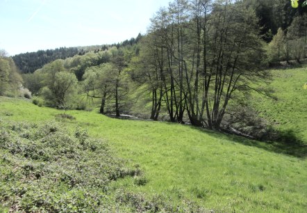 Bachaue Eifel, © StädteRegion Aachen