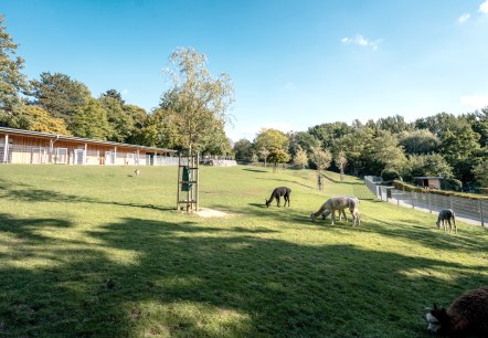 Aachener Tierpark (Euregiozoo), © Städteregion Aachen