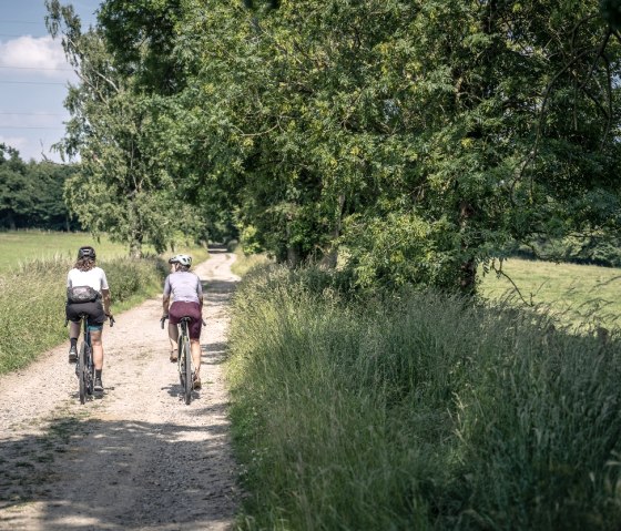 Gravelbiker im Würselner Wald, © StädteRegion Aachen