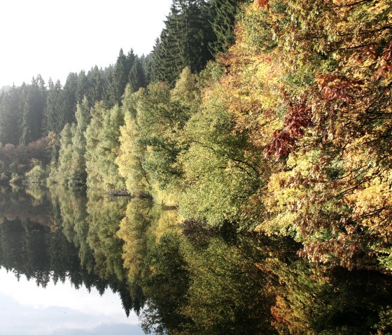 Perlbach dam near Monschau, © Heike Becker
