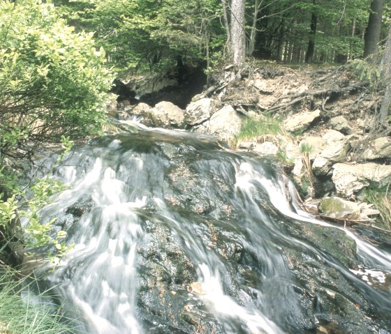 Wildes Land, © Tourismusagentur Ostbelgien