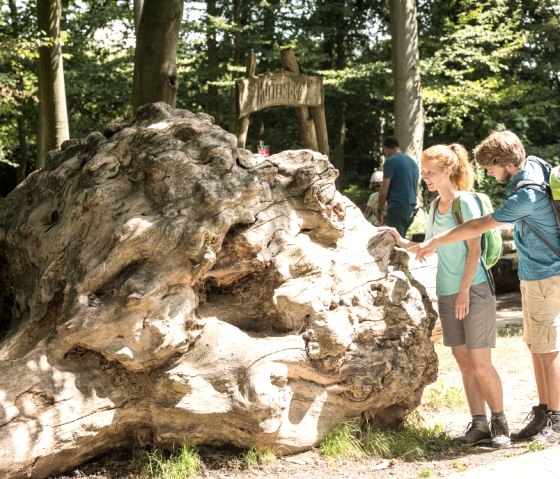 Besucherzentrum Brunssummerheide, © Grünmetropole e.V.