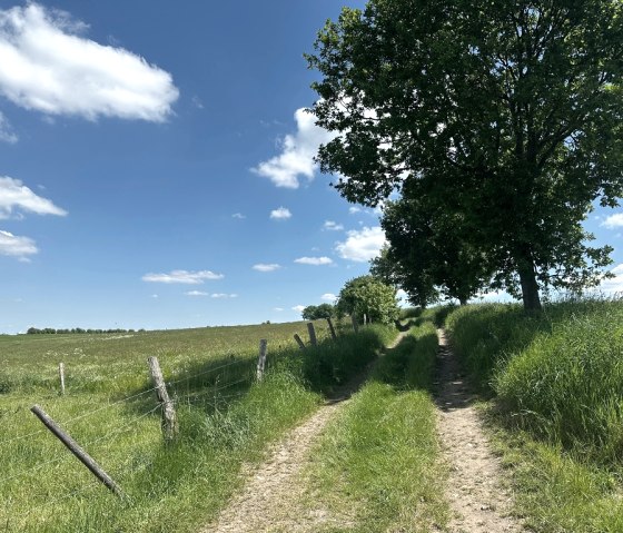 schöne Aussicht auf der Kupferroute, © StädteRegion Aachen