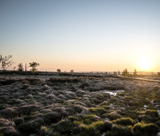 Hohes Venn - Abendstimmung, © Dennis Stratmann